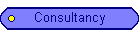 Consultancy